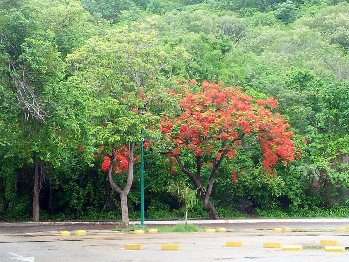 Camino Al Mar Apartment Santa Cruz Huatulco Ngoại thất bức ảnh
