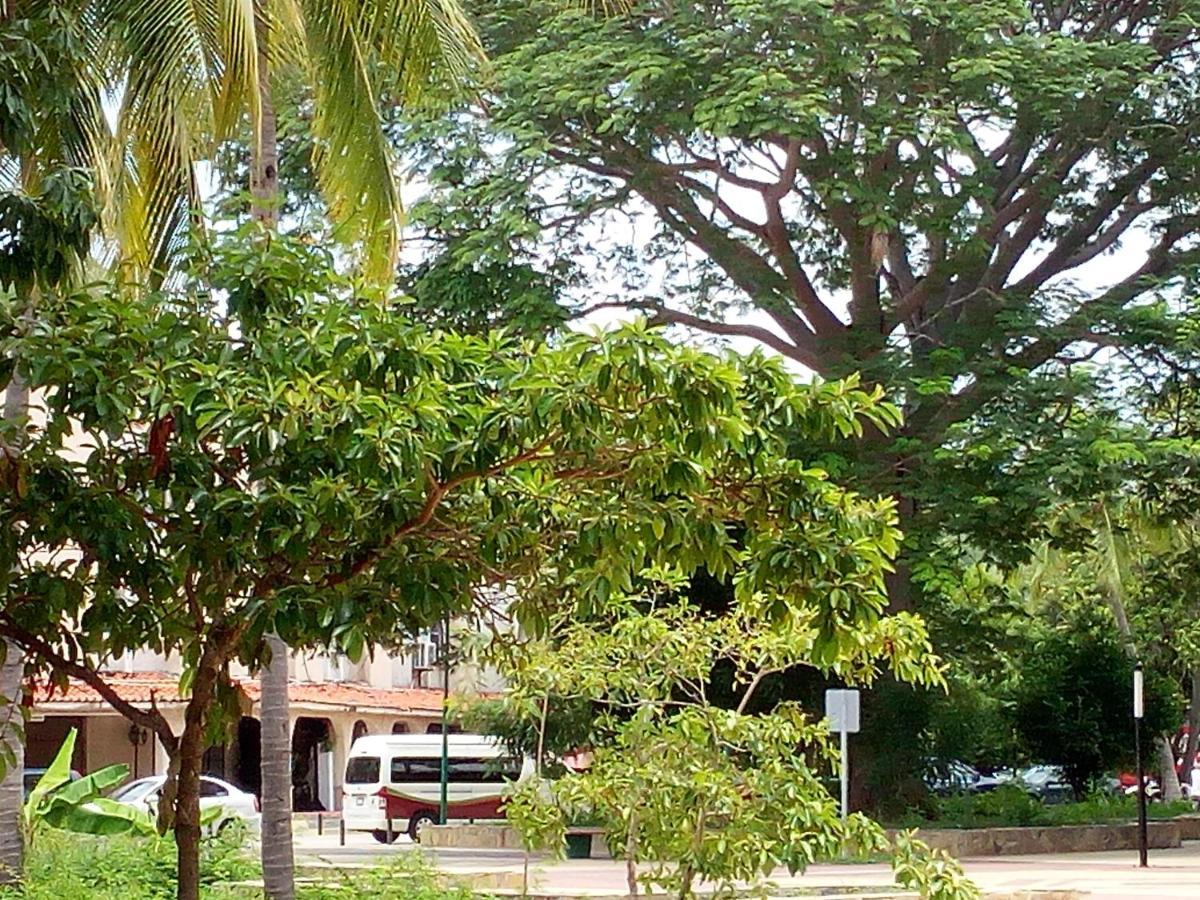 Camino Al Mar Apartment Santa Cruz Huatulco Ngoại thất bức ảnh